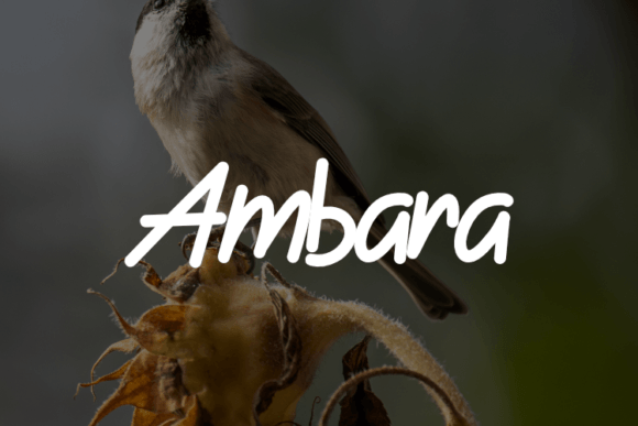 Ambara Font: Elevating Editorial Design and Layouts