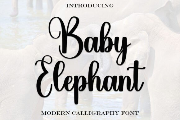 Baby Elephant Font: Elevating Handmade Designs with Elegance