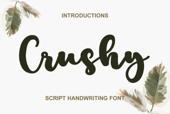 How Crushy Transformed My Brand’s Look—One Font at a Time