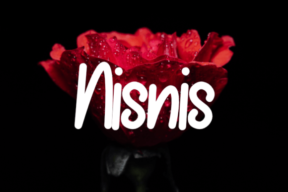 Nisnis Font: Elevating Digital Brand Identity