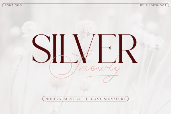 Silver Snowly Font: Elegant Serif for Editorial Design
