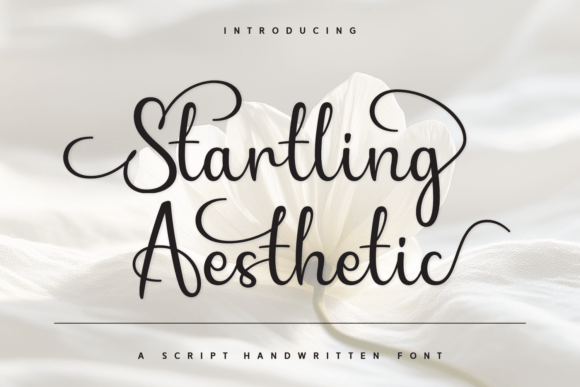 Startling Aesthetic Font for Handmade Products