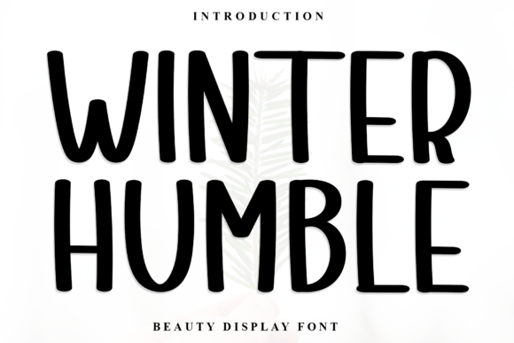 Winter Humble Font: A Designer’s Real-World Test for Elegant Web Typography